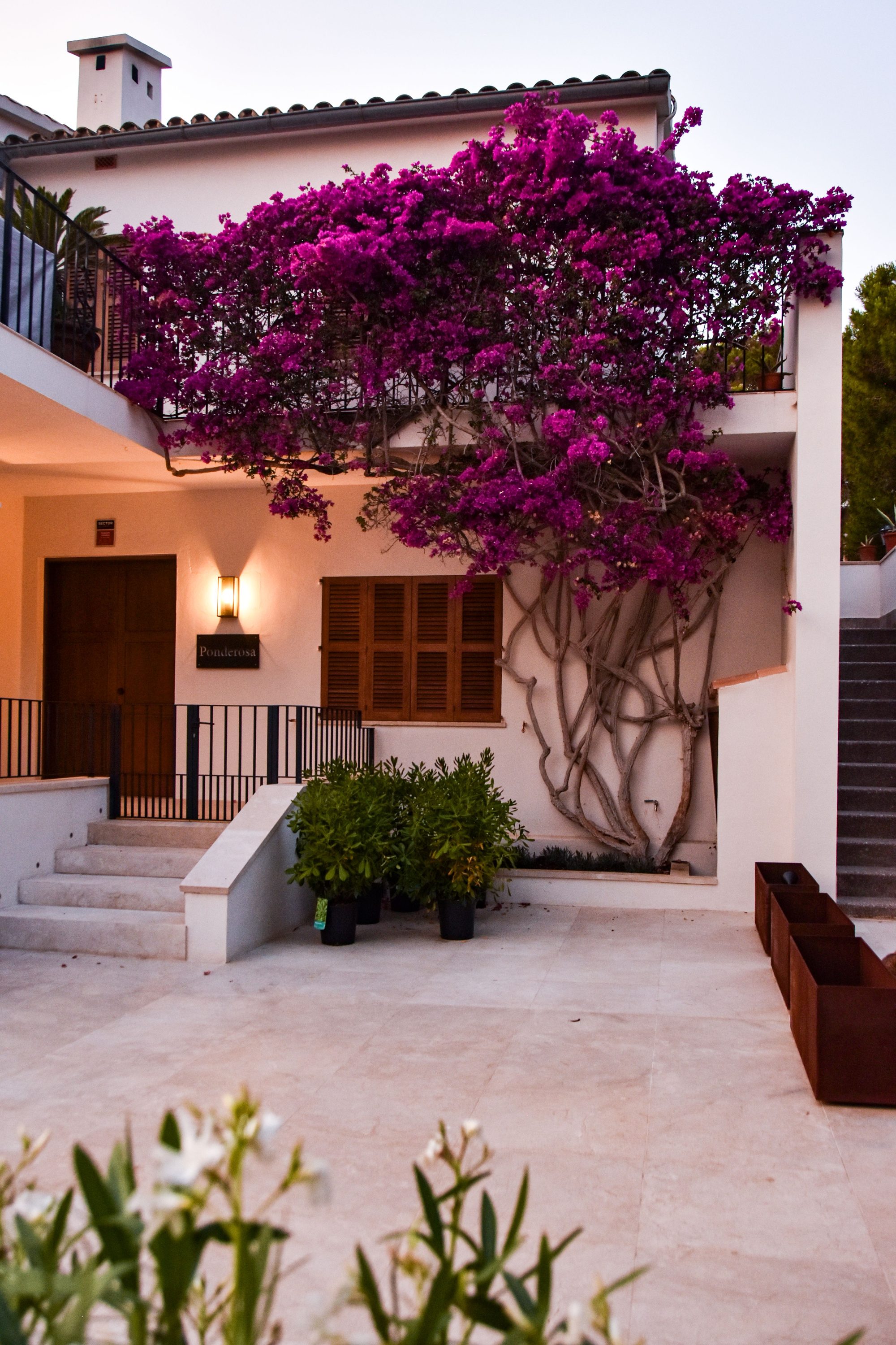 Villa mediterránea en Marbella — reformas Áureo Design and Build